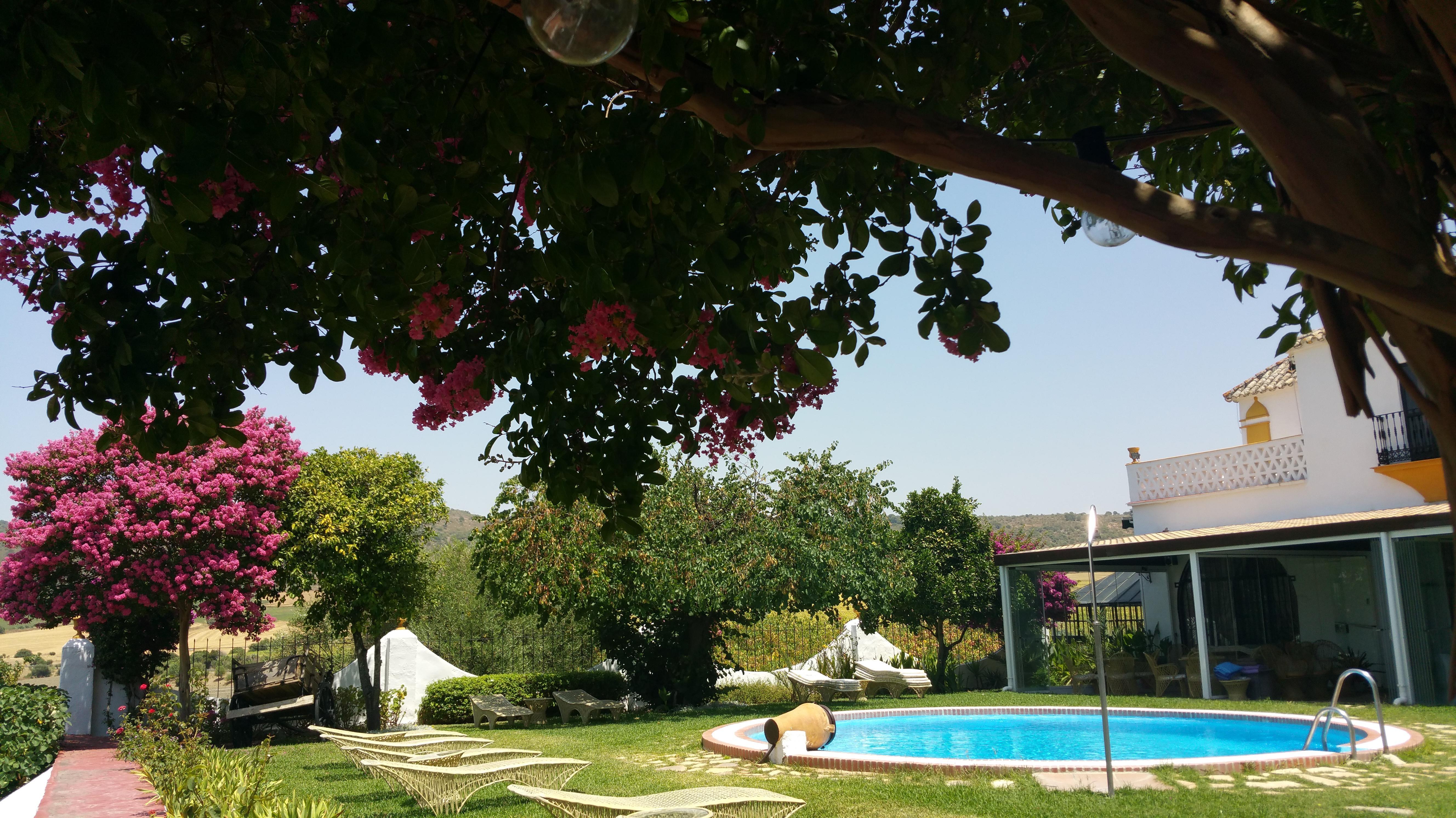 Hacienda El Santiscal Adults Only Hotel Arcos de la Frontera Buitenkant foto