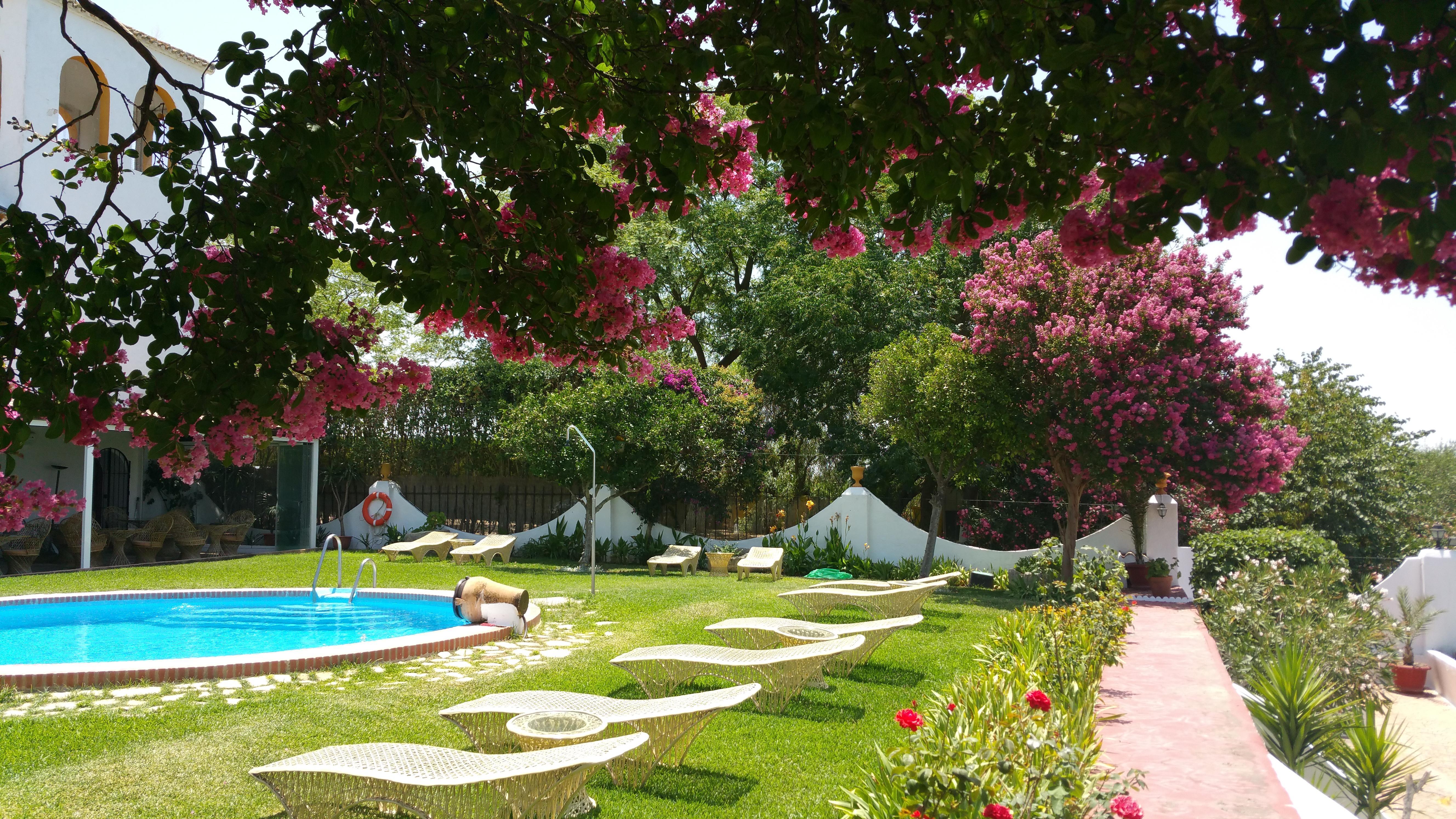 Hacienda El Santiscal Adults Only Hotel Arcos de la Frontera Buitenkant foto