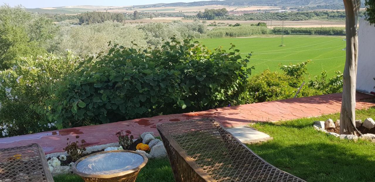 Hacienda El Santiscal Adults Only Hotel Arcos de la Frontera Buitenkant foto