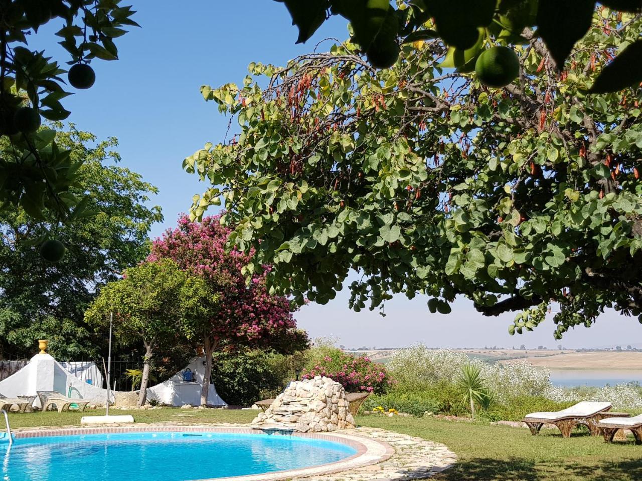 Hacienda El Santiscal Adults Only Hotel Arcos de la Frontera Buitenkant foto